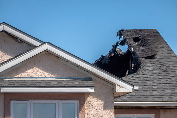 Top rated local Odor Removal specialists in Pennington, NJ